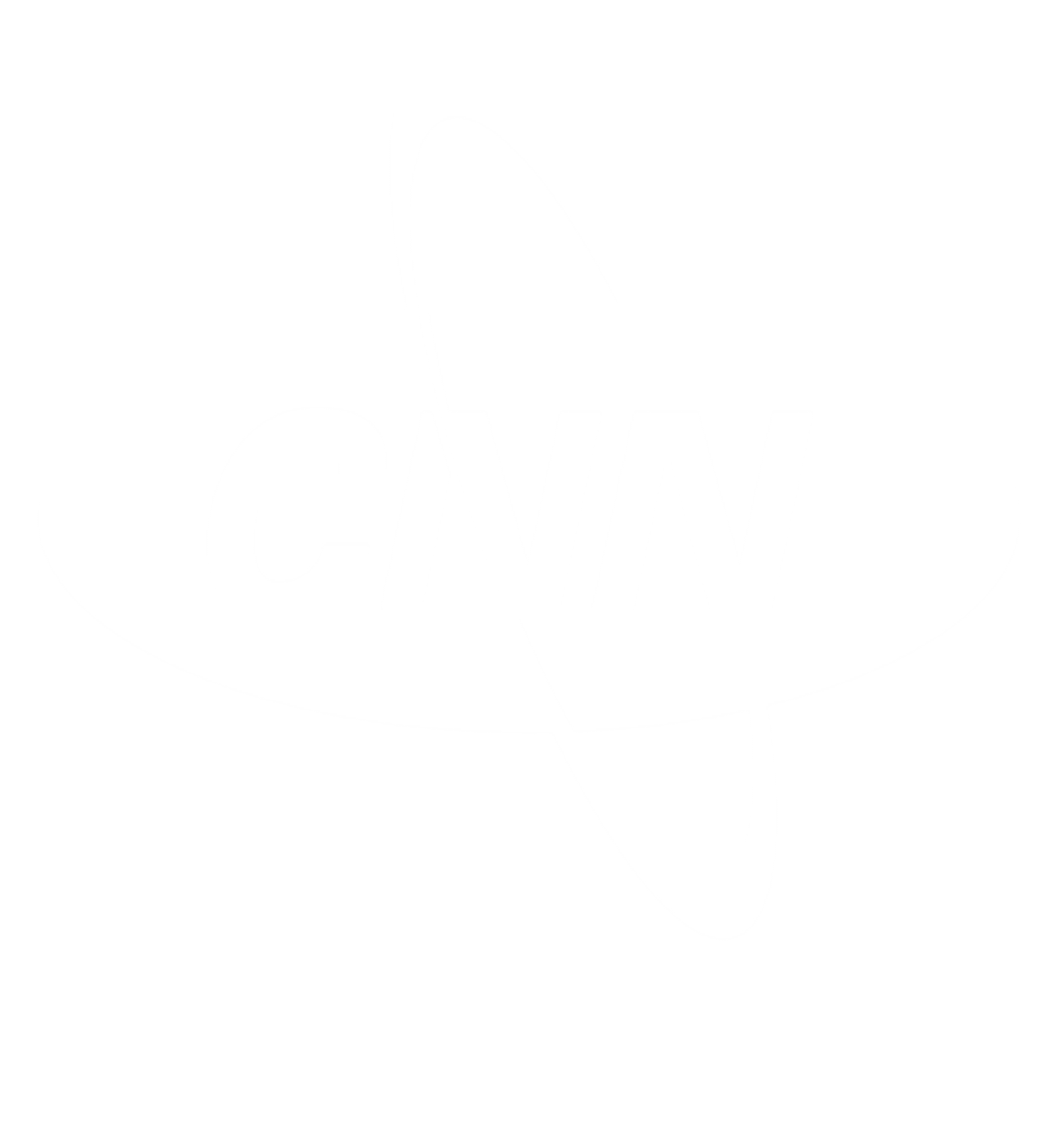 CNN logo